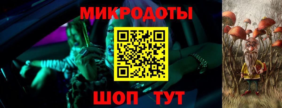 Галлюциногенные грибы Psilocybe Миасс